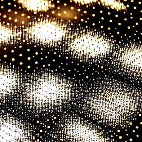 Two Paths to Five Trillion: A Crypto Desk's Nvidia Headline, Read as Data Two Paths to Five Trillion: A Crypto Desk's Nvidia Headline, Read as Data