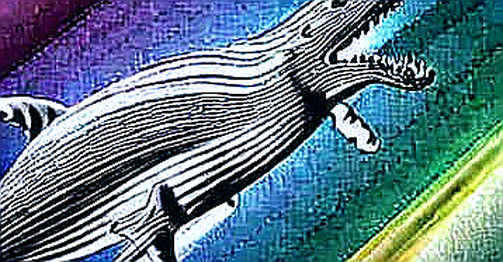 The Whale That Whispered: Decoding a $35 Million ETH Transfer and the Fragility of a Narrative The Whale That Whispered: Decoding a $35 Million ETH Transfer and the Fragility of a Narrative