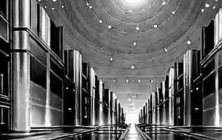 The Solana Paradox: Address Velocity vs. Economic Density The Solana Paradox: Address Velocity vs. Economic Density