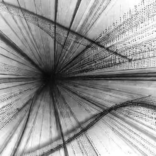 The Relay Is the Vulnerability: Auditing the Crypto Rails Under Putin's Iran-to-Trump Channel The Relay Is the Vulnerability: Auditing the Crypto Rails Under Putin's Iran-to-Trump Channel