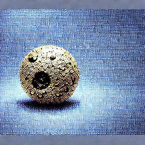 RL1: The Ghost Chain European Banks Refuse to Explain RL1: The Ghost Chain European Banks Refuse to Explain