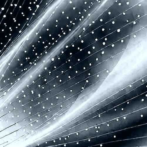 SharpLink's Staking Yield Signals Structural Fragility Beneath a Growing Treasury
