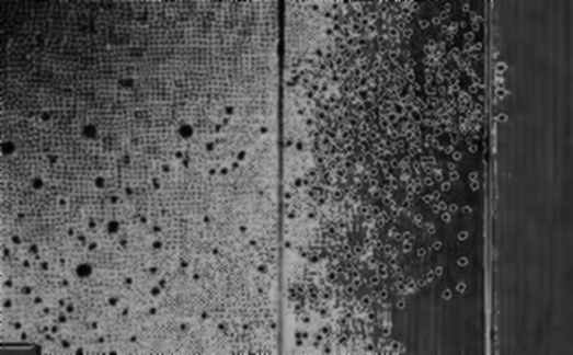 The 0x Protocol Audit: A Forensic Examination of Order Matching Logic and Its Structural Integrity The 0x Protocol Audit: A Forensic Examination of Order Matching Logic and Its Structural Integrity