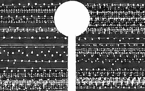 The 76,000 Divergence: Why The Ledger Ignores The Round Number The 76,000 Divergence: Why The Ledger Ignores The Round Number