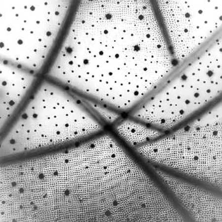 Null Return: The Verification Crisis Inside Crypto's AI Trading Stack Null Return: The Verification Crisis Inside Crypto's AI Trading Stack