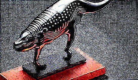 Trump’s Iran Gambit: How Geopolitical Brinkmanship Rewrites Stablecoin Liquidity in the Middle East Trump’s Iran Gambit: How Geopolitical Brinkmanship Rewrites Stablecoin Liquidity in the Middle East